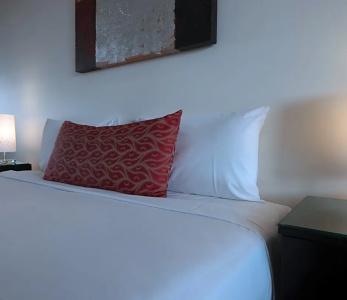 The Chermside - 45