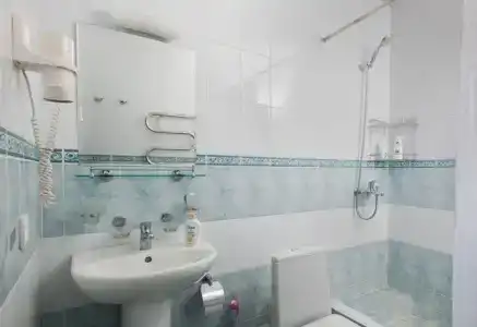 Родник Алтая - 10