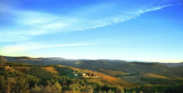 Wine Dievole - 49