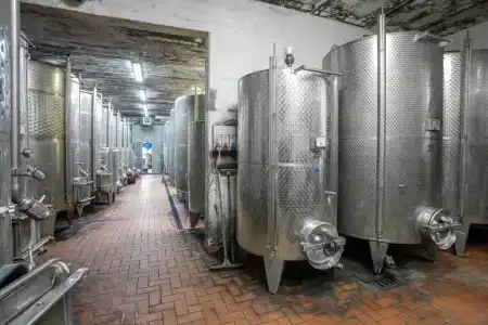Tenuta Moriano - 6