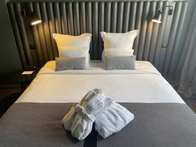 Hôtel Diana Dauphine - 18