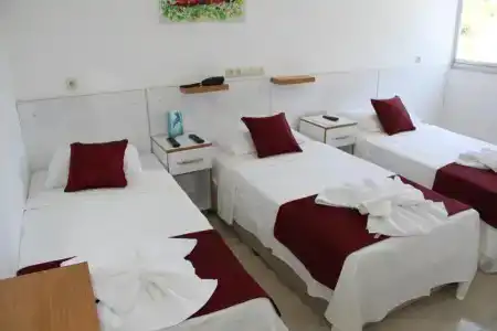 AelbİStan Otel - 2