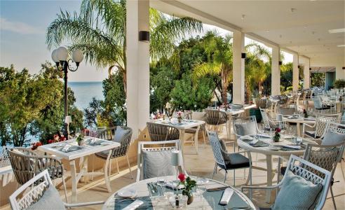 Royal Palm - 16
