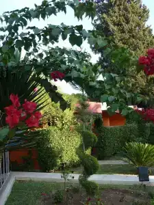 Çetinel Tesisleri - 11