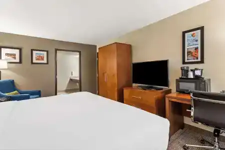 Comfort Inn & Suites Downtown - 58