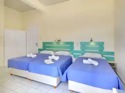 Kamelo - 4