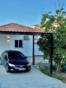 Rose Pension - 88