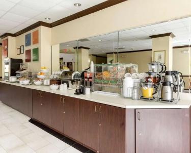 Comfort Suites Bush Intercontinental Airport - 23
