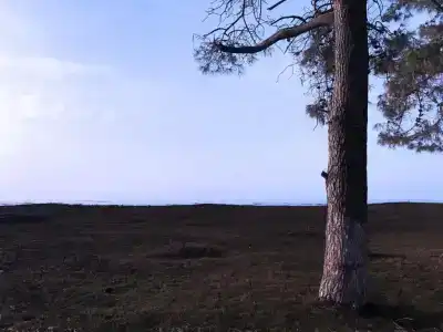 Simple Pleasures - 10