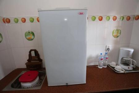 Thamel Eco - 11