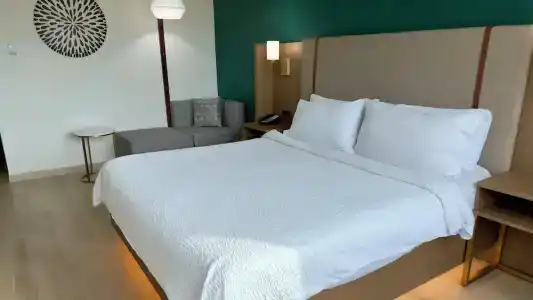 Holiday Inn Houston s - Nrg Area - Med Ctr, An Ihg - 66