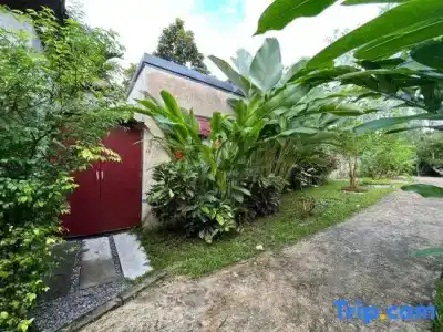 Tanya Baan Bon Doi - 43