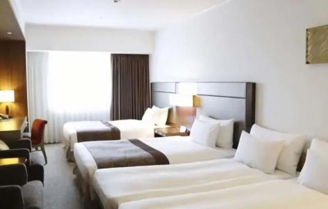 Ibis Styles Sapporo - 40