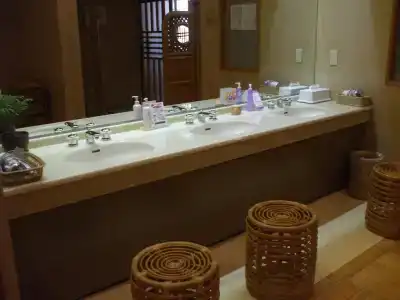 Shiobara Onsen Ryokan Kamiaizuya - 16
