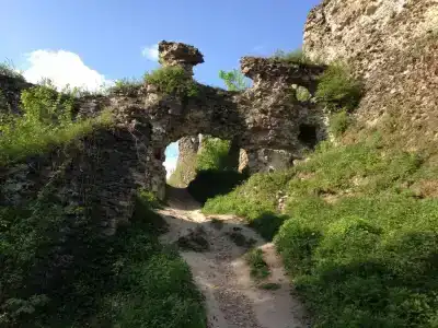 Карпаты - 14
