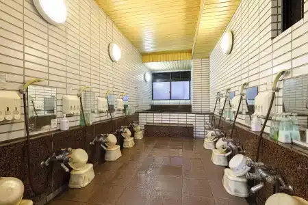 Azumaya Ryokan - 9