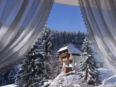 Schwarzwald ApartKräutle - 11