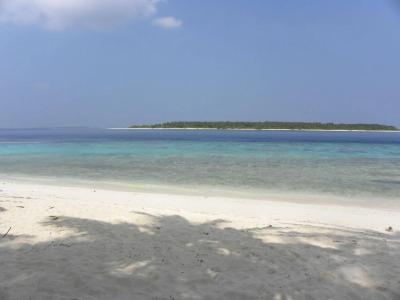 Madi Finolhu - 36