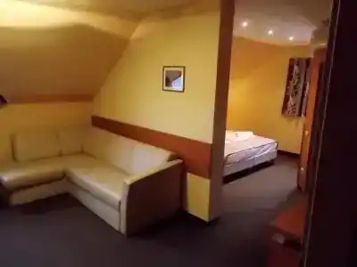 Vineyard Inn - Szőlőskert - 1