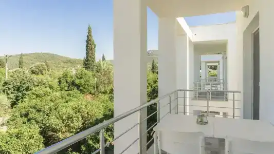 Daphnis - 319