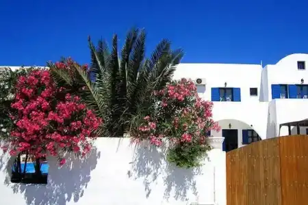 Santorini Breeze - 21