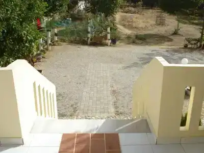 Zinovia - 255