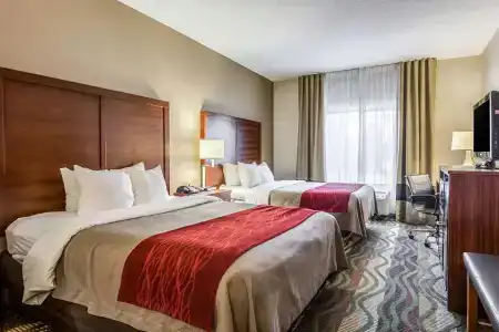 Comfort Inn & Suites West - Lookout Mountain - 5