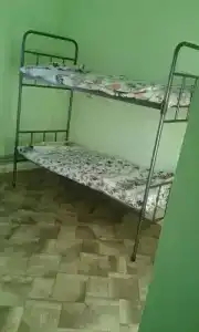 Коктем - 2