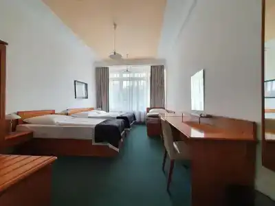 Jana / Pension Domov Mládeže - 28