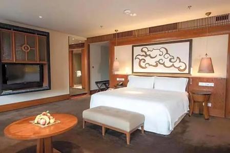 The St. Regis Lhasa Resort - 52