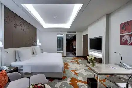 Radisson Blu, Ajman - 3