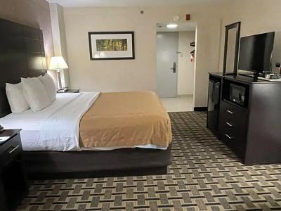 Quality Inn & Suites Downtown - 64