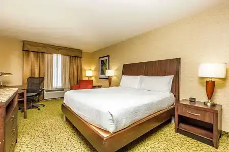 Hilton Garden Inn - 64