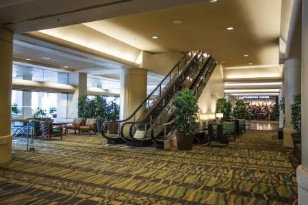 Ala Moana by AirPads - 11