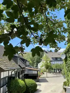 Gut Moschenhof - 13