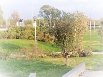 Domus al Parco Guest House - 125