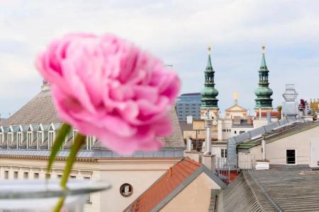Singerstrasse 21/25 - 142