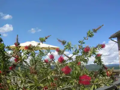 b&b La Terrazza Del Subasio - 41