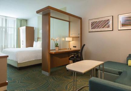 SpringHill Suites by Marriott Nashville Vanderbilt/West End - 17