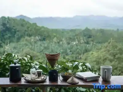 Khaosok Boutique Camps - 43