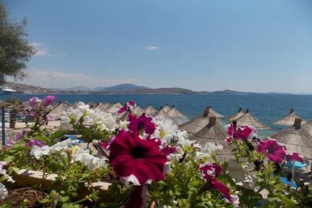 Oceanic Overview Suites - 9
