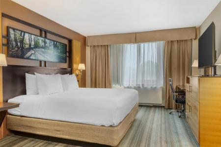 Best Western Gold Coast - 48