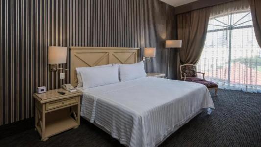 Holiday Inn Queretaro Centro Historico, An Ihg - 159