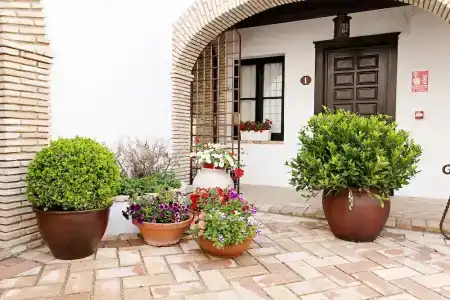 Suites La Posada De Pilar - 25