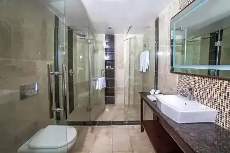 Best Western Plus - 25