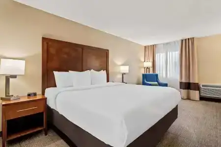 Comfort Inn & Suites Downtown - 50