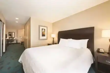 Hilton Garden Inn - 71