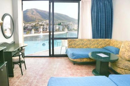 Kaktus Albir - 65