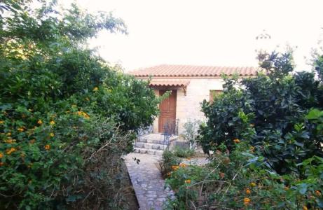 Maniatiko Village - 64