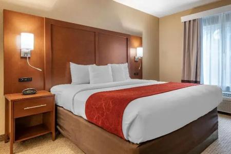 Comfort Suites Orlando Airport - 38